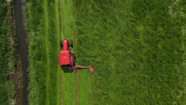 Tractor mowing green grass meadow in farmland for livestock hay harvest. Work in agronomic farm for making business and production organic eco bio animal feed