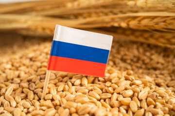 Grains wheat with Russia flag with stop sign, trade export and economy concept.