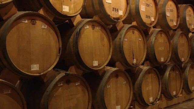 Wine or cognac barrels in cellar of winery, Wooden wine barrels in perspective. wine vaults. vintage oak barrels of craft beer or brandy.