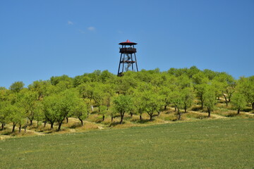 Rozhledna Mandloňov&eacute; sady a arbortum Hustopeče