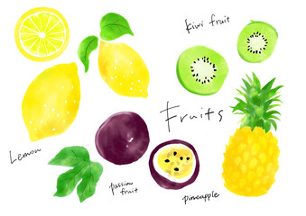 パイナップル、パッションフルーツ、レモン、キウイフルーツの手書きイラスト　夏　果物　フルーツ　ビタミン