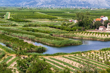 Agricultural land in the Neretva delta in Croatia.