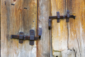 old grunge door. architectural background