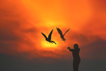 Silhouette of people was enchanted with the parrot free flying in the sky at sunset.