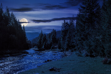 autumn landscape at night. rocky shore of the river that flows near the pine forest at the foot of...