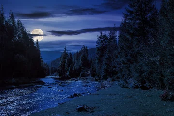 Foto op Plexiglas autumn landscape at night. rocky shore of the river that flows near the pine forest at the foot of the mountain in full moon light © Pellinni