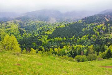 Naklejka premium rural mountain landscape in spring. grassy hills and fields on rolling hills. distant ridge beneath a cloudy sky