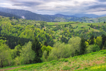 Fototapeta na wymiar cloudy green mountain landscape in spring. trees on the grassy hills