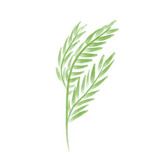 Watercolor Style Green Plants