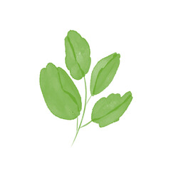 Watercolor Style Green Plants