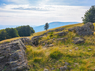 rural landscape in mountains. pastures on the rolling hills of carpathian mountains. sunning view at sunset