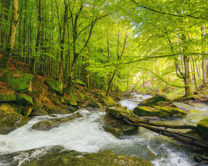 river in the park among boulders. outdoor nature scenery in spring