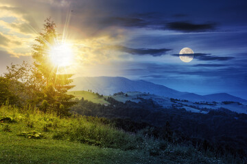 day and night time change concept. fir tree on the edge of clearing in mountains with sun and moon...