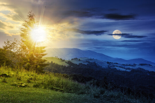 day and night time change concept. fir tree on the edge of clearing in mountains with sun and moon at twilight