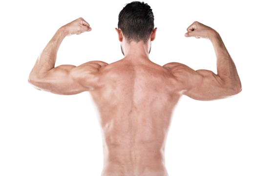 Back, fitness and man flexing muscle during exercise, training or gym workout isolated on a transparent png background. Showing biceps, strong bodybuilder and athlete with healthy sports for power.