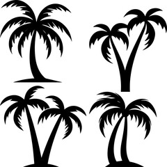 Obraz premium silhuette plam trr images