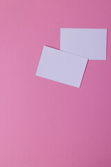 Vertical image of white business cards with copy space on pink background