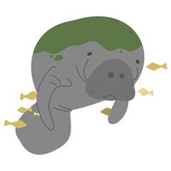 Manatee Single 5 PNG