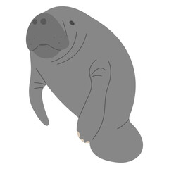 Manatee Single 11 PNG