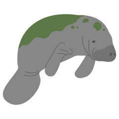 Manatee Single 9 PNG