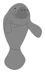 Manatee Single 15 PNG