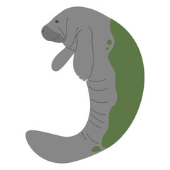 Manatee Single 4 PNG
