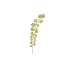 Simple Watercolor Textured Plant