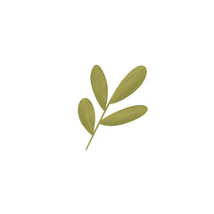Simple Watercolor Textured Plant