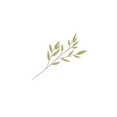 Simple Watercolor Textured Plant
