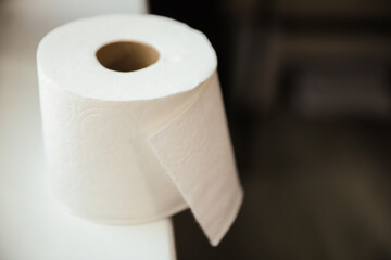 roll of toilet paper on a clean, white background, symbolizing comfort, hygiene, and the everyday essentials of modern life