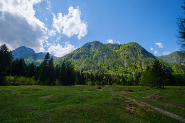 Radovna Valley in spring in Slovenia

