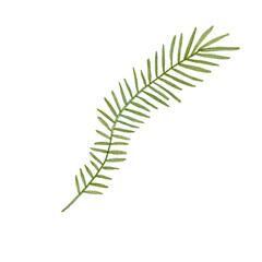 Simple Watercolor Textured Plant