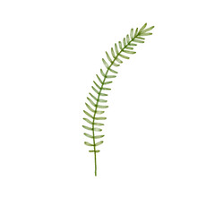 Simple Watercolor Textured Plant