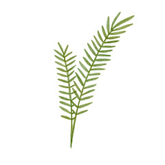 Simple Watercolor Textured Plant