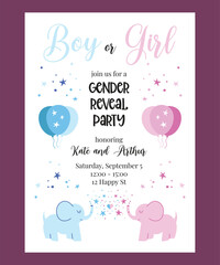Gender Reveal Party Invitation Design, Boy or Girl Vector Template
