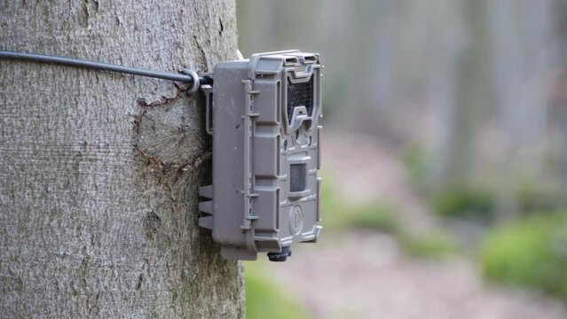 A camera trap on a tree in a forest - closeup
