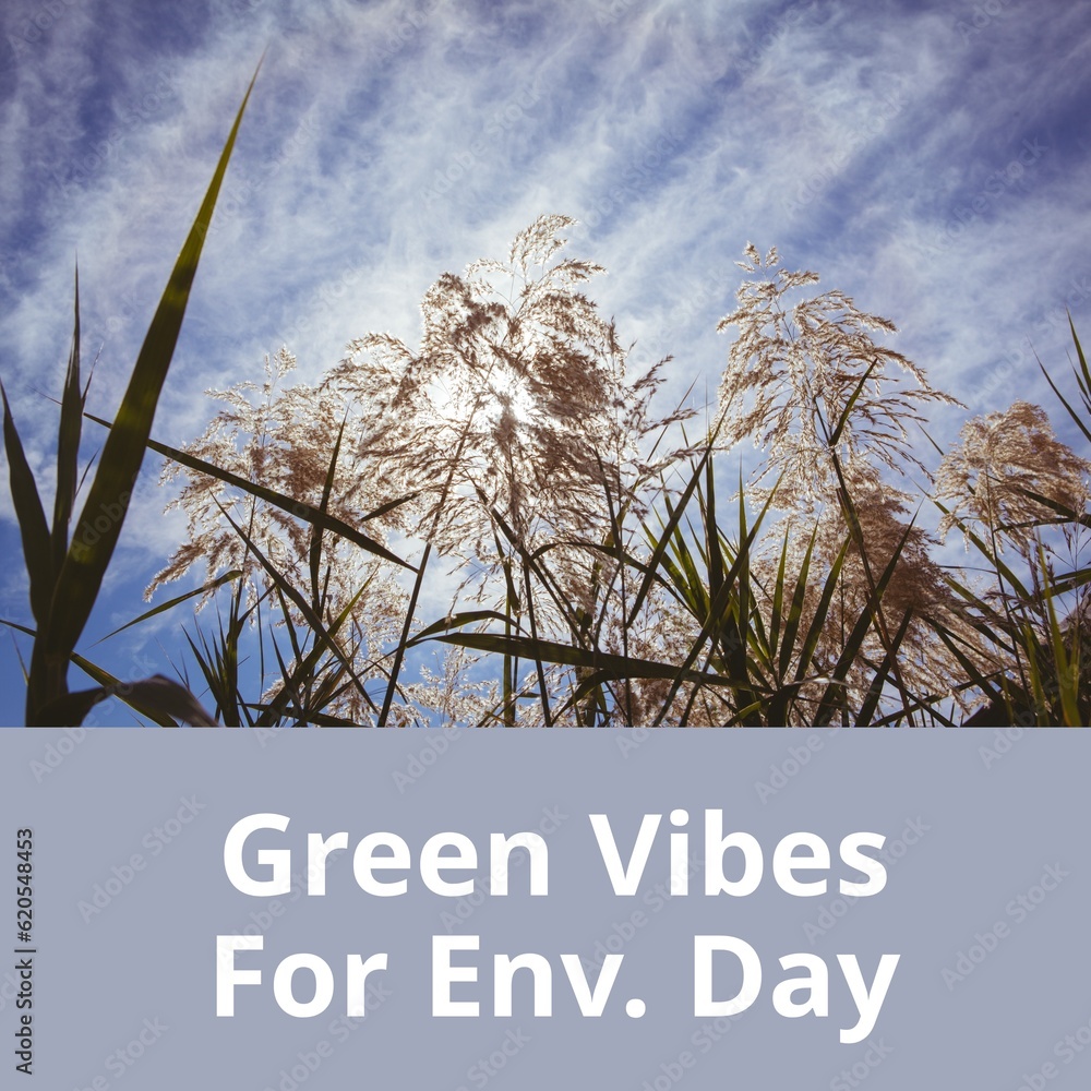 Poster composition of green vibes for env day text over field