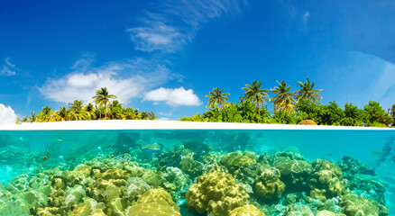 beautiful view of an island below the sea with crystal clear water