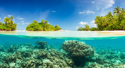 beautiful view of an island under the sea in high resolution