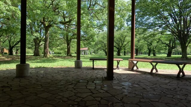 緑に囲まれた真夏の公園にある東屋からみた風景。