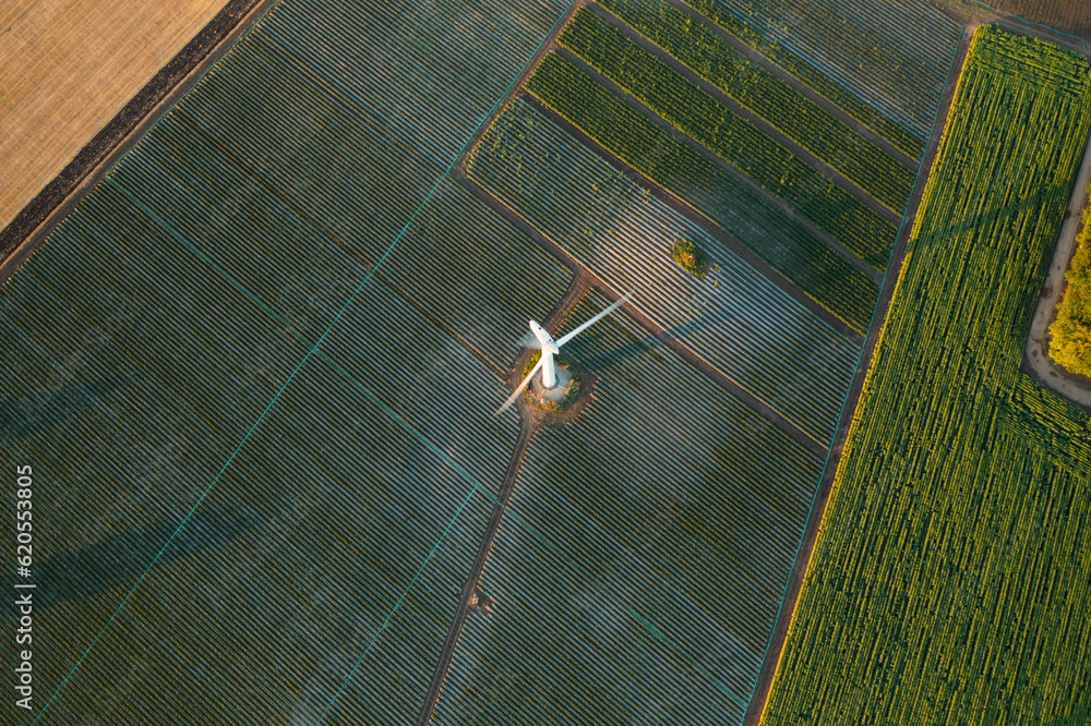 Wall mural Zero emission. Top down aerial view on a Wind turbine eco farm on farm fields landscape - Wall murals