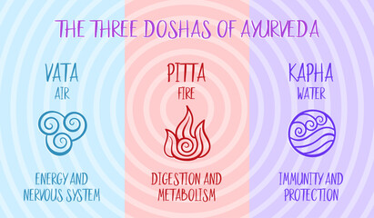 The 3 ayurvedic doshas chart. Names and description. Vector illustration on colorful background.