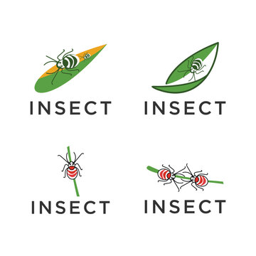 Inscet color logo icon vector image