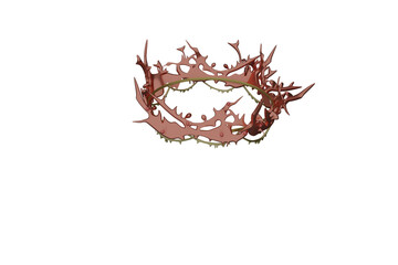 The Holy Crown of Thorns
