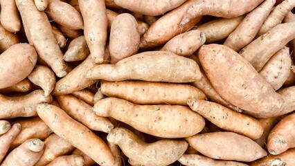 sweet potatoes are available for sale in the market.