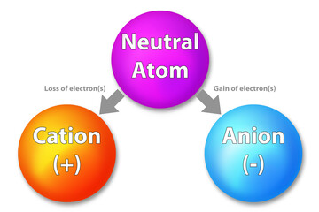 Cations, anions and neutral atom