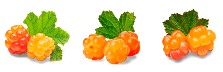 Set of yellow and orange raspberries or cloudberries with green leaves isolated on transparent background  © fotogurme