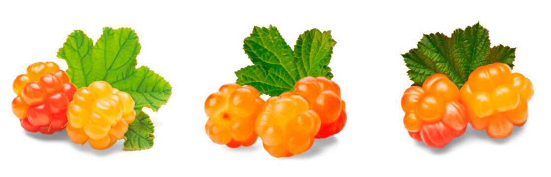 Set of yellow and orange raspberries or cloudberries with green leaves isolated on transparent background
