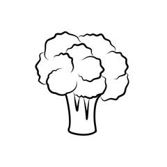 Broccoli line icon. Vector of colorful broccoli. Fresh doodle different vegetable isolated on white background used for magazine, book, poster, card, menu cover, web pages. Fresh food illustration