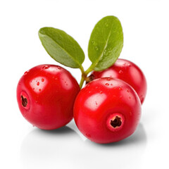 Lingonberry close up, with leaves, isolated on transparent